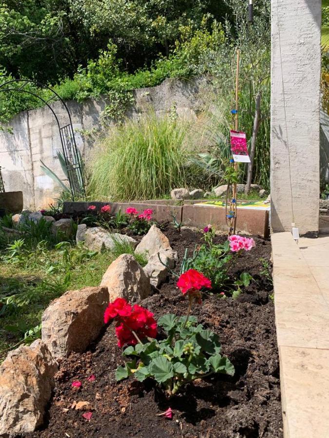 Villa Mihaela Ičići Exterior foto