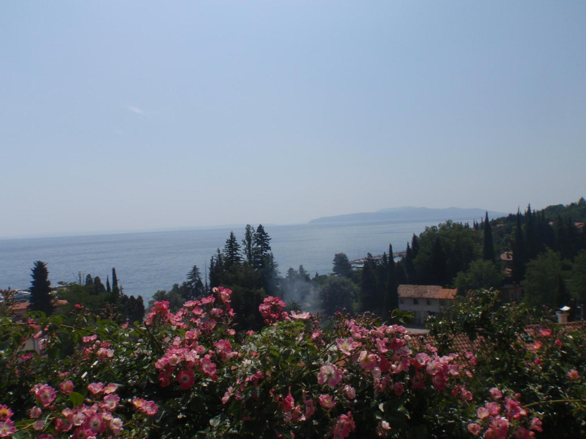Villa Mihaela Ičići Exterior foto